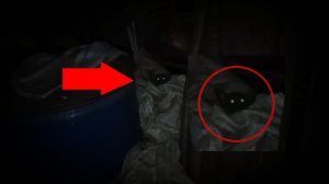 Страшные видео с ужасными зверями ночью | Странное животное