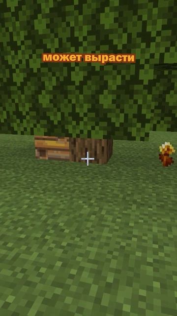 Эти механики майнкрафта ты не знаешь! | золотые одуванчики