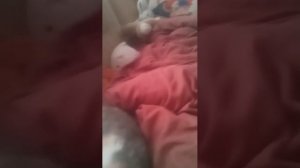 пж 200 на ДР(13 апреля)