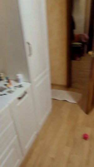 Боня и мультфильмы #shorts #собака