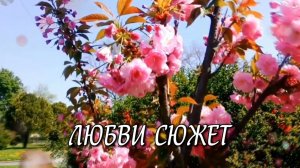 ЛЮБВИ СЮЖЕТ - стихи: Константин Батурин, музыка: Олег Якубов, вокал: Галина Комиссарова
