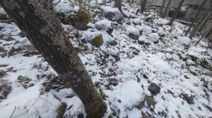 Тиверское городище: Тайны древнего форпоста на Вуоксе