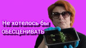 Петхоа или петунья? Опять НАДУЛИ???😲😲😲😡Часть 2