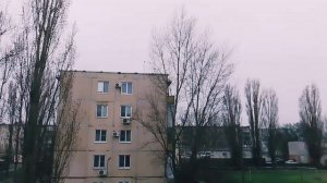 ПРИРОДА ПОСЛЕ ДОЖДЯ/
АСМР/ПЕНИЕ ПТИЦ