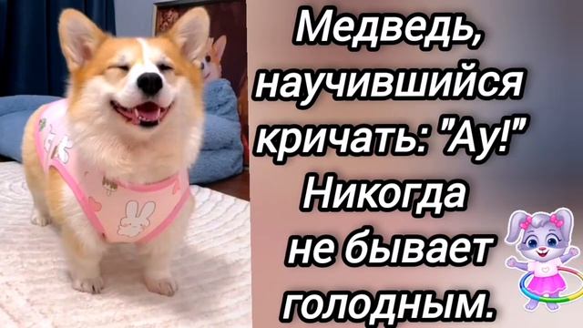 🤣 Анекдот из Сыктывкара