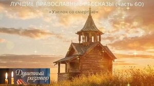 ЛУЧШИЕ ПРАВОСЛАВНЫЕ РАССКАЗЫ часть 60
