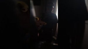 следим за Ромой