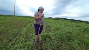 Влог от 20.06.2022