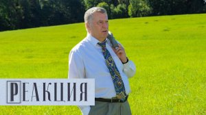 Реакция: Владимир Жириновский. С чего начинается Родина?!