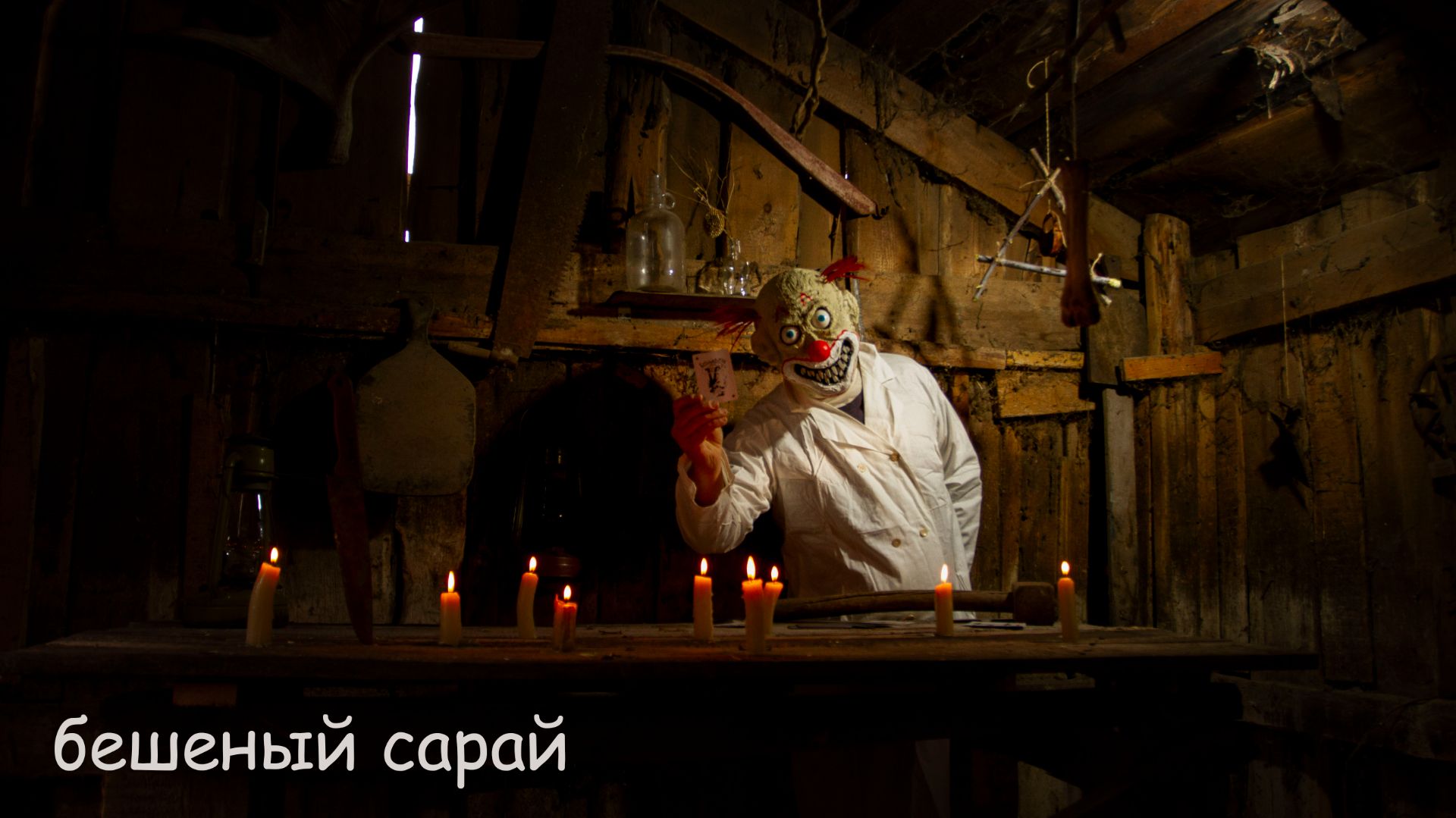 бешеный сарай