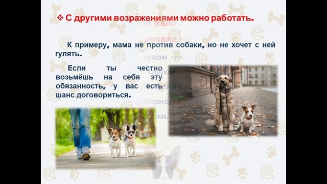 «Хочу котёнка или щеночка: полезные советы» смотреть онлайн