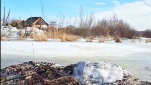 С УТРА ХОРОШАЯ НОВОСТЬ А ВЕЧЕРОМ🥴МУЖИК НАПУГАЛСЯ,РАССАДА