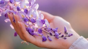 ✧ Спокойная фоновая музыка для учебы, работы, сна и расслабления | Останови поток мыслей