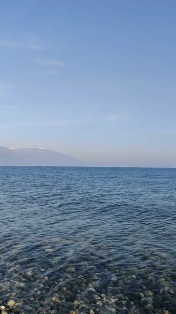 в латыни не силён