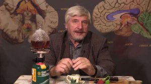 Как кормить мозг