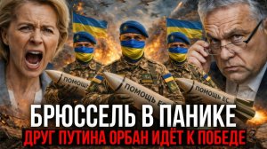 УЖАС ЕВРОПЫ: ОРБАН ИДЁТ К НОВОЙ ПОБЕДЕ НА ВЫБОРАХ — В БРЮССЕЛЕ НАЧАЛАСЬ ПАНИКА