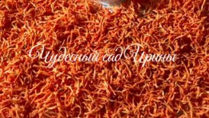 Самая вкусная и сладкая морковь. Наша подборка сортов и гибридов 2026