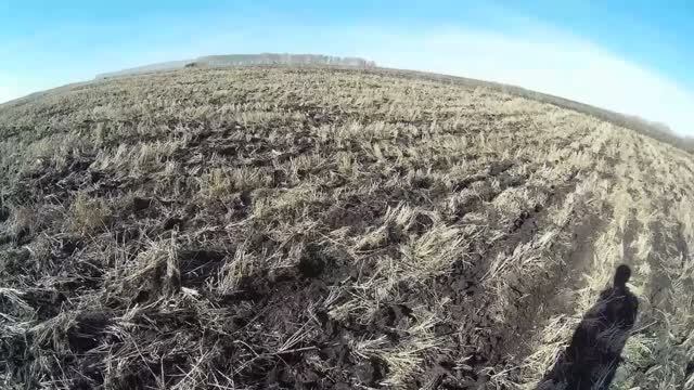 Почва станет как губка? Вспашка, чизелёвка и дисковка. Сенокос взрыхлённый фрезой. Обзор на 1 апреля