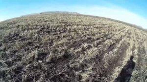 Почва станет как губка? Вспашка, чизелёвка и дисковка. Сенокос взрыхлённый фрезой. Обзор на 1 апреля