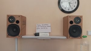 DOLBIT NORMAL'NO 2.1- 210w👍 SONY SS NXM -2*55W саб SAMSUNG 100w ЧЕРЕЗ Усилитель  zk-mt21 с Ozon