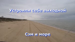 34. Переехали на Юг. Купили новостройку. Катались к морю. Море в марте.