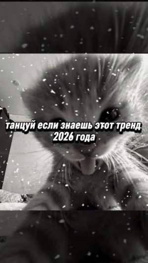 танцуй если знаешь этот тренд 2026 года ⭐⭐⭐