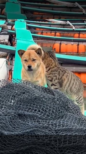 Служат на одном судне