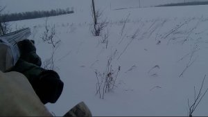 Охота на зайца 31.01.26
