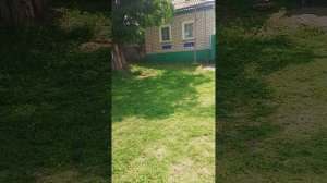 ,,Херои нашего времени.-Американский кинорежиссер страшилок-Хич Кок...отдыхает!".