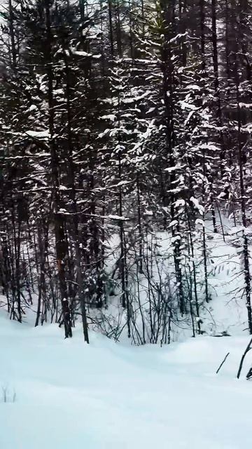 01.04.2026 Южная Якутия