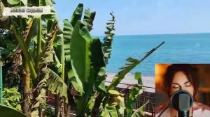 Мост через судьбу.