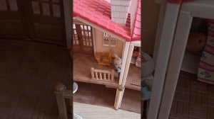 день зайца 🐰