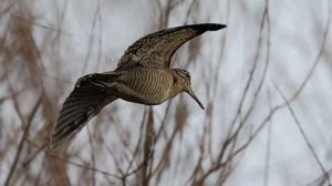 Разведка старых мест для предстоящей вечерки