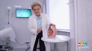 Недержание мочи - как помочь? Жить здорово! Фрагмент выпуска от 01.04.2026