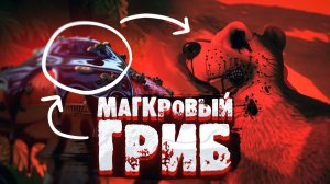 Могкровый гриб | СТРАШИЛКА МАША И МЕДВЕДЬ. Страшная история про гриб!