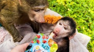 Николь ВПЕРВЫЕ ПРОБУЕТ ПЮРЕШКУ, малышке понравилось🥰