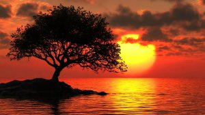 ✨ ОЧЕНЬ КРАСИВАЯ РАССЛАБЛЯЮЩАЯ МУЗЫКА ДЛЯ ДУШИ 🎵 МЕДЛЕННАЯ УСПОКАИВАЮЩАЯ МУЗЫКА ДЛЯ СНА НА ЗАКАТЕ