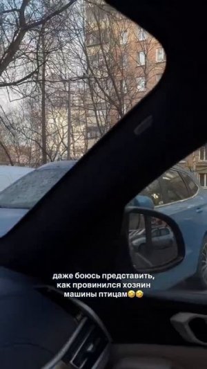 Видео от Департамент Вирусного Контента | ДВК