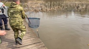 Поимки  форели !!!