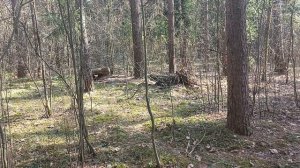 Длинная очередь при внезапной встрече с противником