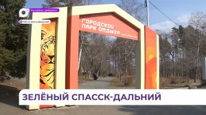В Спасске-Дальнем обновлённые парки и скверы становятся частью городского ландшафта