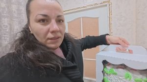 01.04.2026 // Съездили в город // Поздравили доченьку // Посеяла томаты и цветы