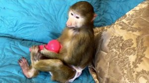 Чтоб мы делали без нашей Анфиски, кто бы еще ВСЕ РАЗБРОСАЛ И ВСЕХ ДОСТАЛ😅