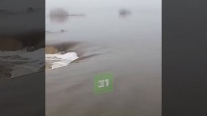 Дорога превратилась в полноводную реку