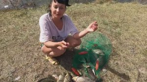 Огромные Караси гнут удочку и отрывают крючки _ Рыбалка в камыше