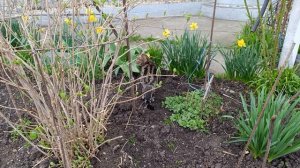 Хорошо после дождичка