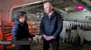 Дорперы и буры. Агрокурьер