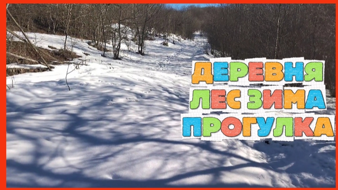 ДЕРЕВНЯ ЛЕС ЗИМА ПРОГУЛКА