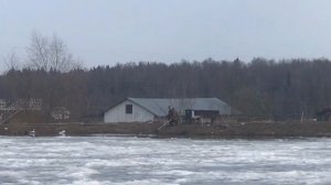 утренние поимки форели