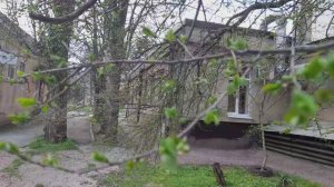 На очень короткой,но прогулке.   01.04.2026